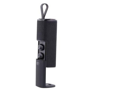 Black Earbuds