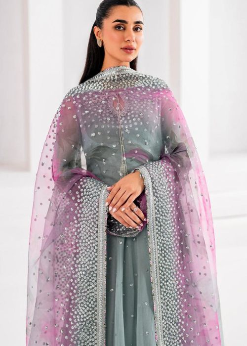 Luxury in Chiffon Elegance