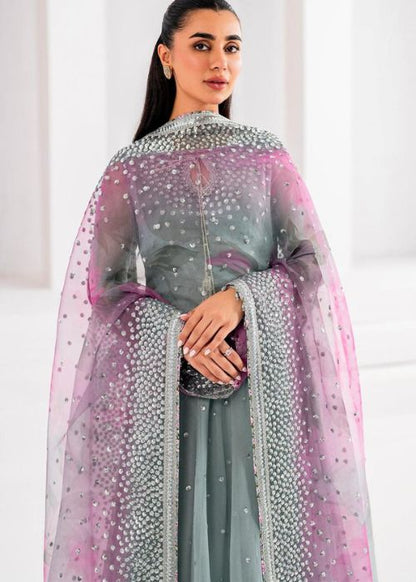 Luxury in Chiffon Elegance